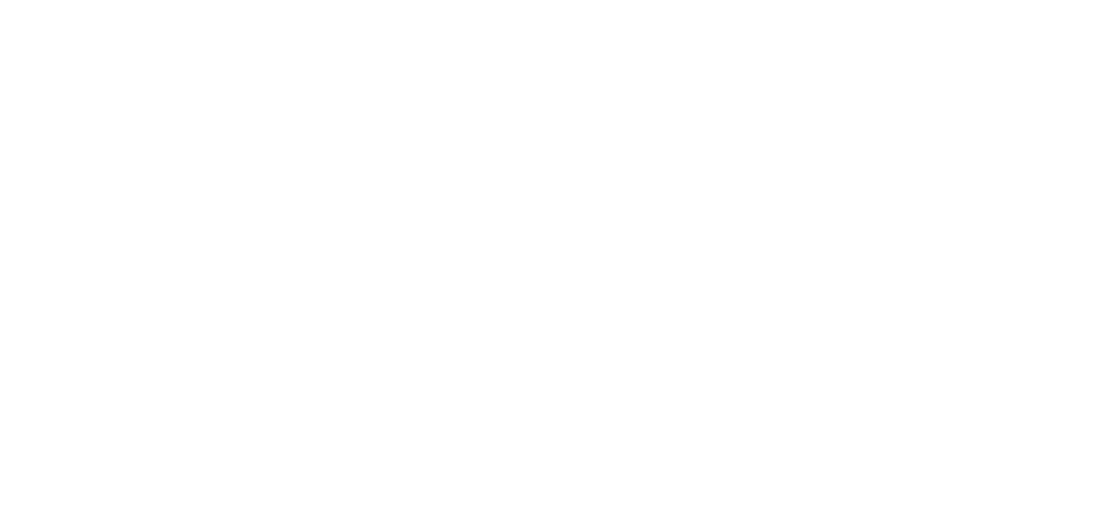 LEAP MOTOR Logo